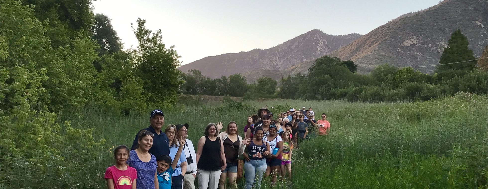 Night Walk: Trails Through Time